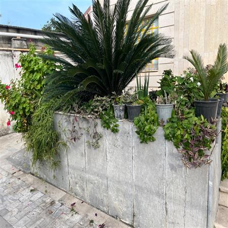 ورودی کتابخانه