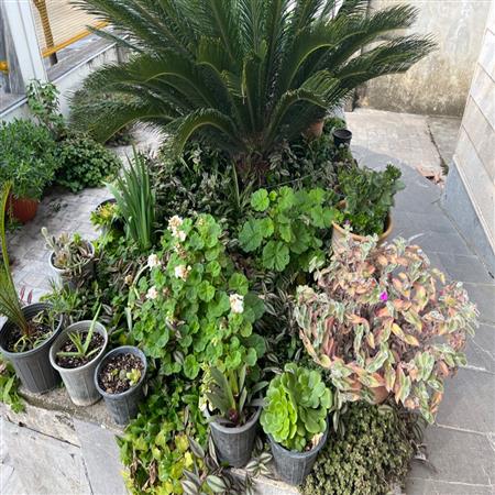 ورودی کتابخانه